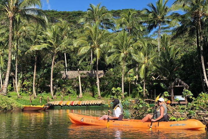 Rainbow Kayak Tours Wailua River Kayak and Secret Falls Hike with Lunch at the Falls (9/11)