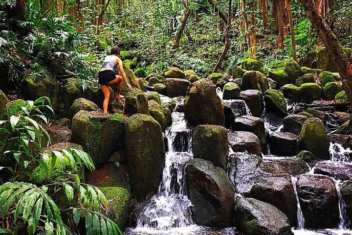 Rainbow Kayak Tours Wailua River Kayak and Secret Falls Hike with Lunch at the Falls (8/11)