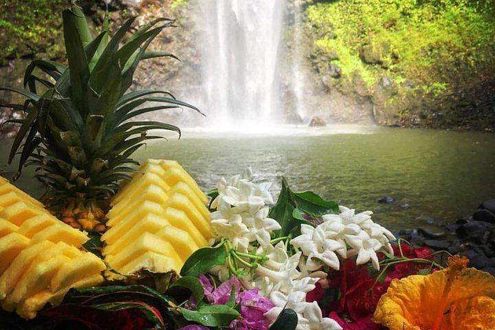 Rainbow Kayak Tours Wailua River Kayak and Secret Falls Hike with Lunch at the Falls (3/11)