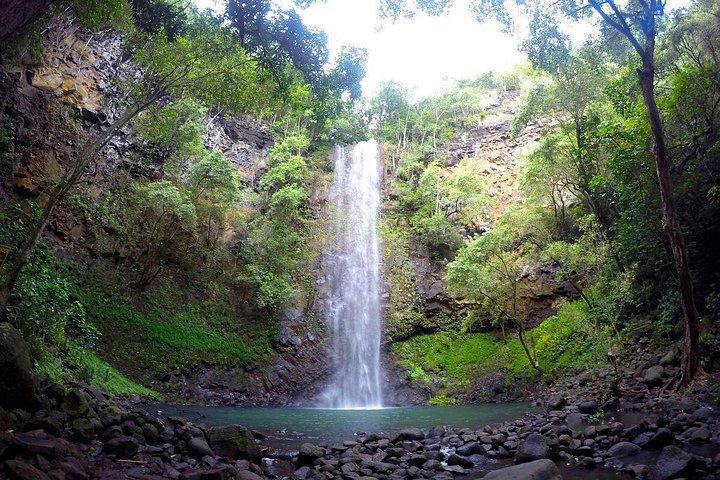 Rainbow Kayak Tours Wailua River Kayak and Secret Falls Hike with Lunch at the Falls (11/11)