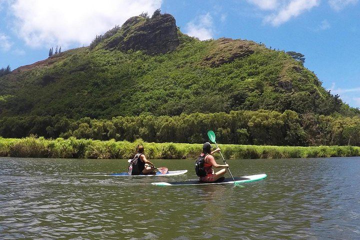Rainbow Kayak Tours Wailua River Kayak and Secret Falls Hike with Lunch at the Falls (10/11)