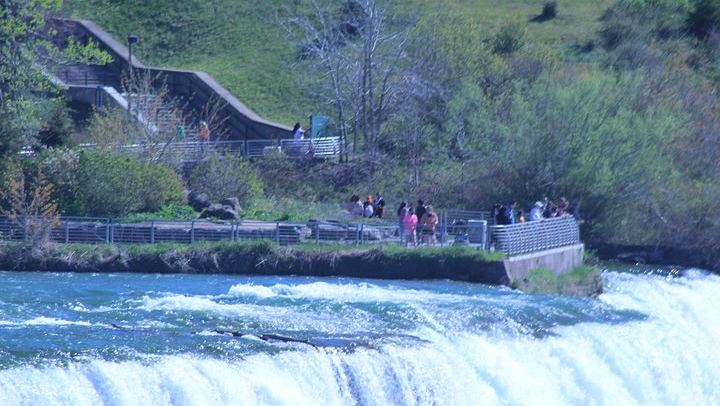 Niagara Falls State Park Guided Walk from SPoT: Terrapin Point and Maid of the Mist (3/10)