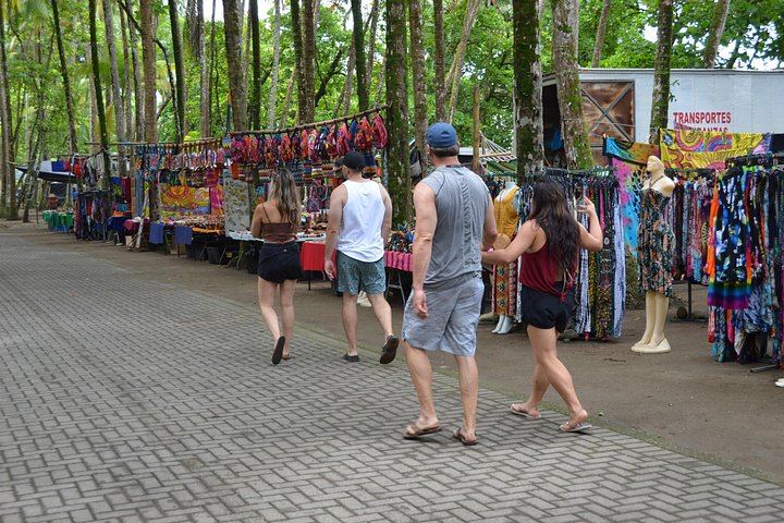 All-Inclusive Pacific Coast Waterfall Day with Local Guide, Secluded Beach and Casado (8/12)