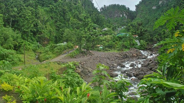 Trafalgar Falls, Sulphur Springs and Champagne Reef Snorkel Tour in Dominica (4/8)