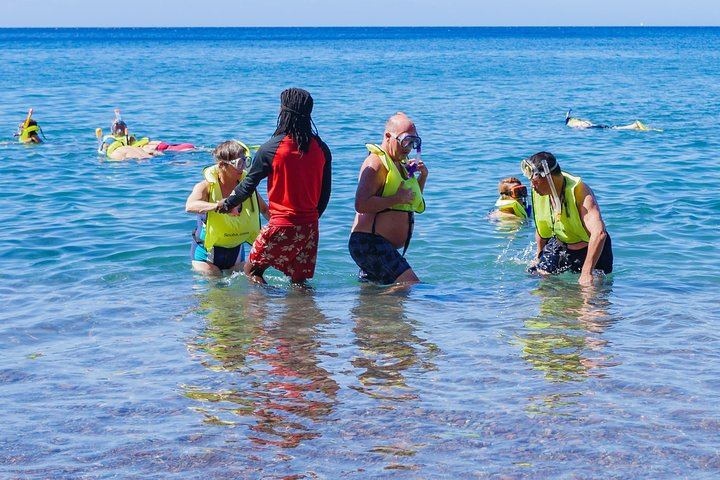 Trafalgar Falls, Sulphur Springs and Champagne Reef Snorkel Tour in Dominica (2/8)