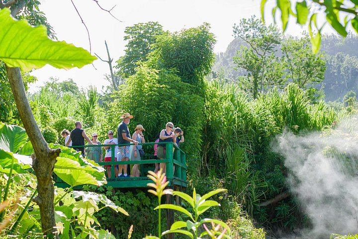 Trafalgar Falls, Sulphur Springs and Champagne Reef Snorkel Tour in Dominica (5/8)