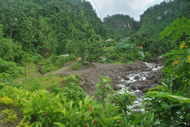 Trafalgar Falls, Sulphur Springs and Champagne Reef Snorkel Tour in Dominica (4/8)