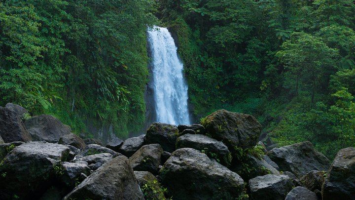 Trafalgar Falls, Sulphur Springs and Champagne Reef Snorkel Tour in Dominica (3/8)