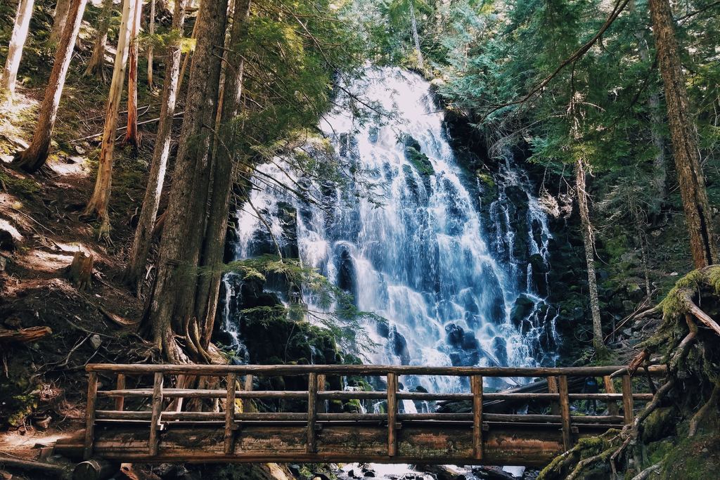 A waterfall behind a wooden footbridge in a conifer forest