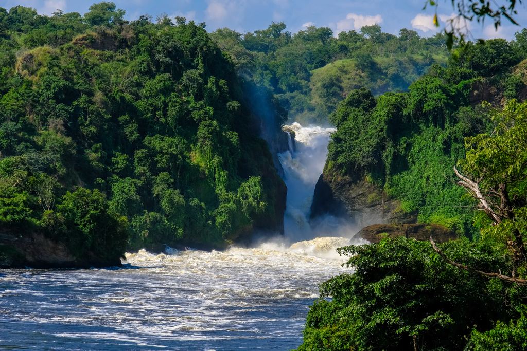 A waterfall dropping between forested hills into a river with white water