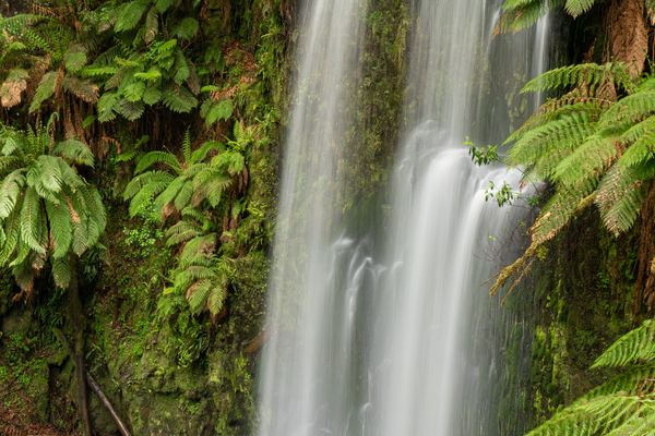 Dominican Republic