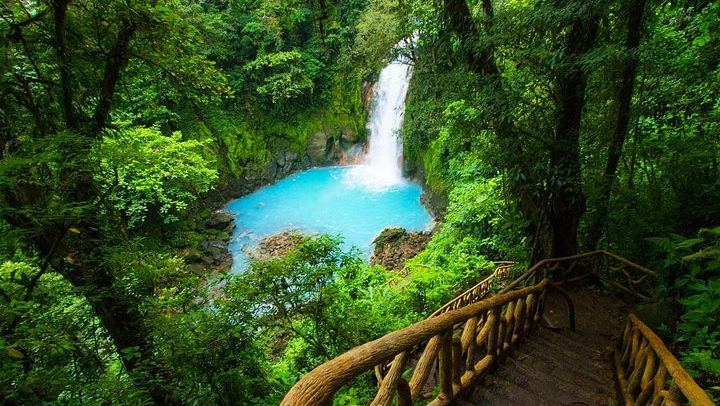 Rio Celeste Waterfall and Sloth Watching Tour from San Jose to Tenorio Park (1/12)
