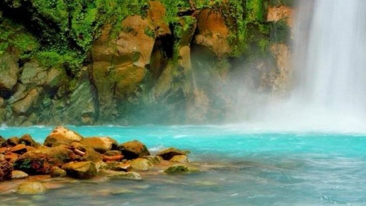 Rio Celeste Waterfall and Sloth Watching Tour from San Jose to Tenorio Park (4/12)