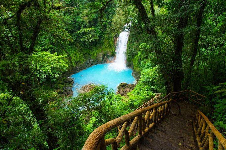 Rio Celeste Waterfall and Sloth Watching Tour from San Jose to Tenorio Park (1/12)