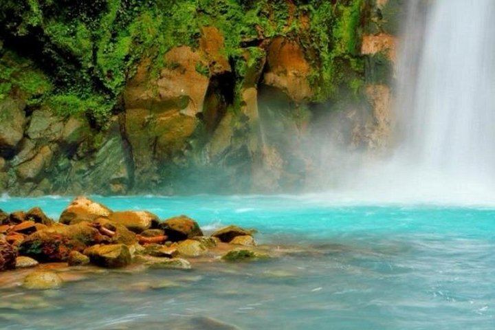 Rio Celeste Waterfall and Sloth Watching Tour from San Jose to Tenorio Park (4/12)
