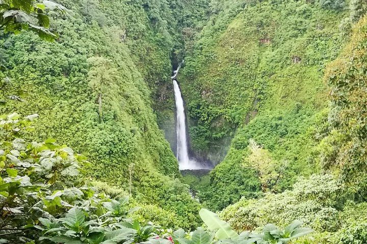 Arenal Volcano or La Fortuna Waterfall with Baldi Hot Springs from Guanacaste (11/12)