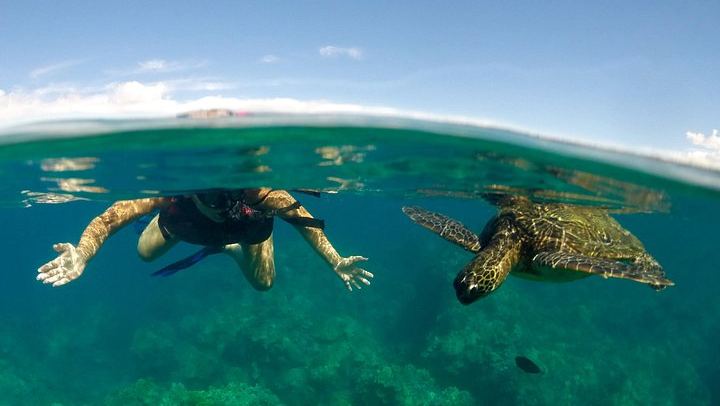 Kelii's Kayak, Snorkel and Waterfall Hike from Makena, 6 Hours with Lunch (4/8)