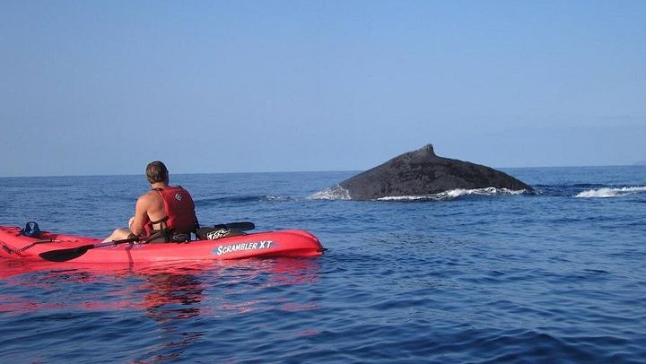 Kelii's Kayak, Snorkel and Waterfall Hike from Makena, 6 Hours with Lunch (3/8)