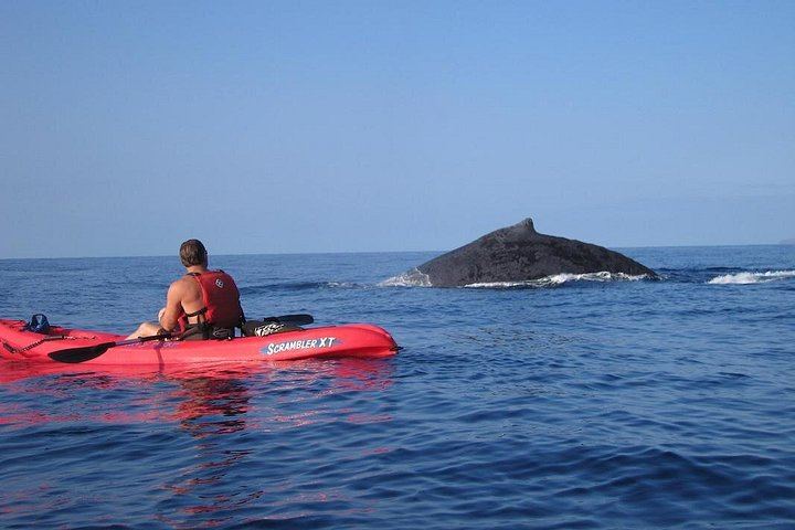 Kelii's Kayak, Snorkel and Waterfall Hike from Makena, 6 Hours with Lunch (3/8)