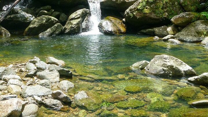 Espiritu Santo River Waterfall Hike in Remote El Yunque, Small Group from Condado (3/12)