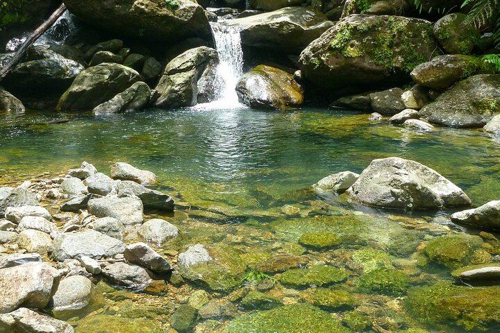 Espiritu Santo River Waterfall Hike in Remote El Yunque, Small Group from Condado (3/12)