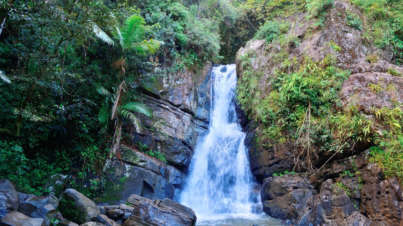 Waterfall dropping between dark rock walls into a rocky stream in a Puerto Rican rain forest, with palms on the left