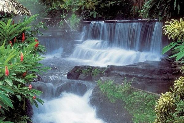 Arenal Volcano or La Fortuna Waterfall with Baldi Hot Springs from Guanacaste