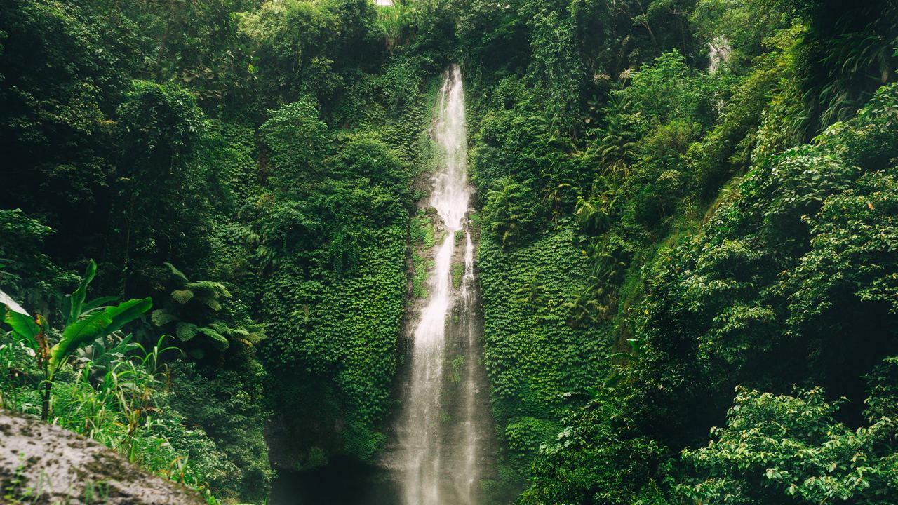Tall waterfall dropping through dense jungle in north Bali, with ferns in the foreground