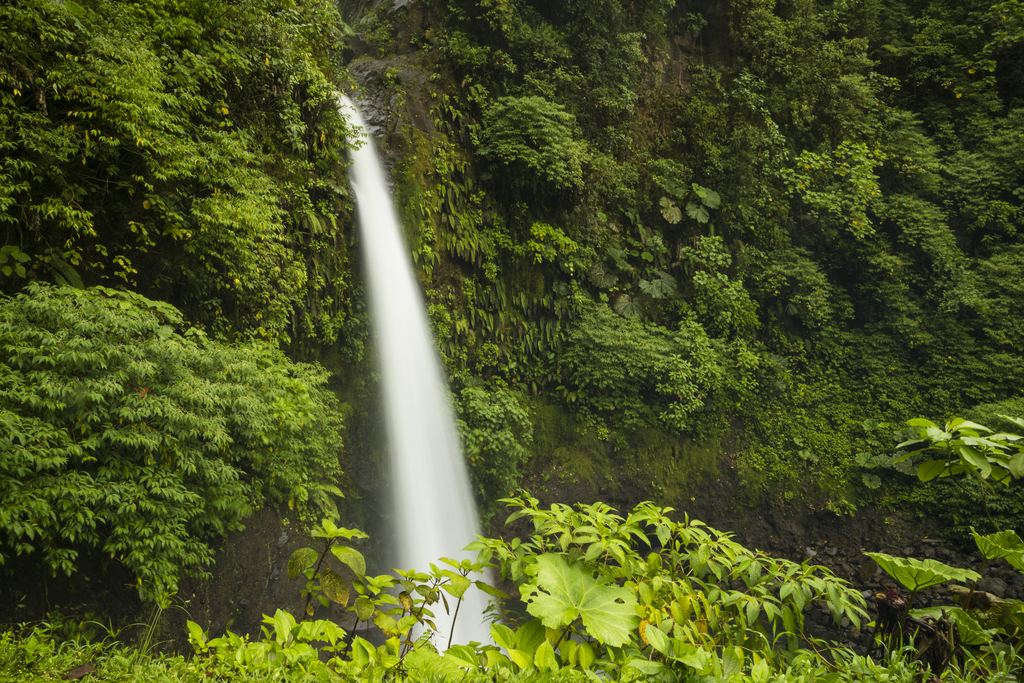 Slender waterfall falling through dense rainforest in Costa Rica