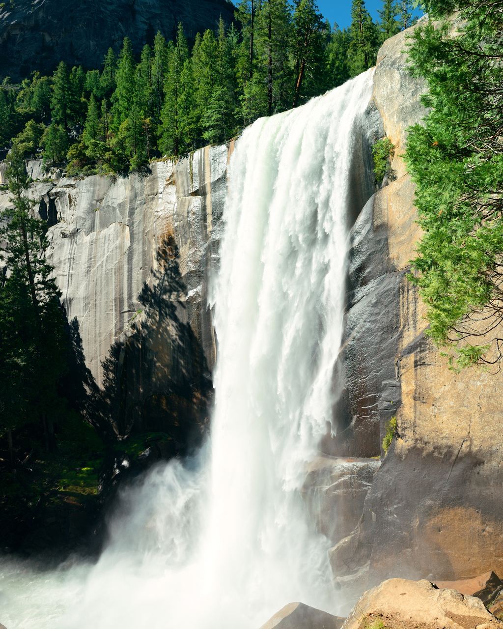 A wide waterfall dropping down a pale granite cliff beside pine trees in Yosemite National Park