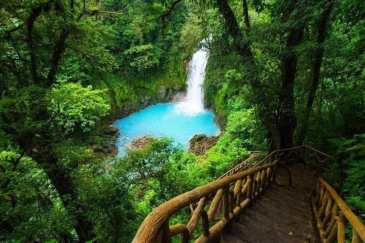 Rio Celeste Waterfall, Sloth Spotting and Scarlet Macaws from Guanacaste (1/12)