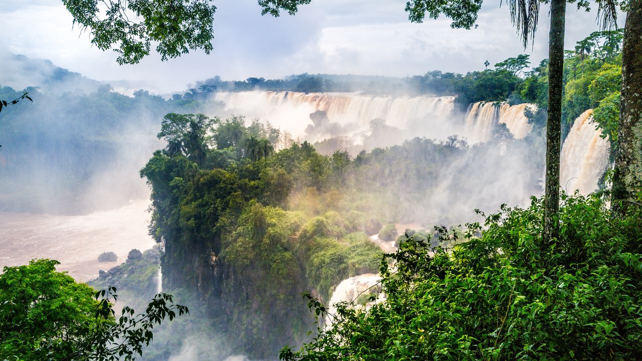 Wide waterfalls seen through tree branches at Iguazú National Park, with mist rising over the forest
