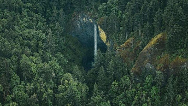 Multnomah Falls and Columbia Gorge Scenic Flight from Troutdale by Envi Adventures (1/12)