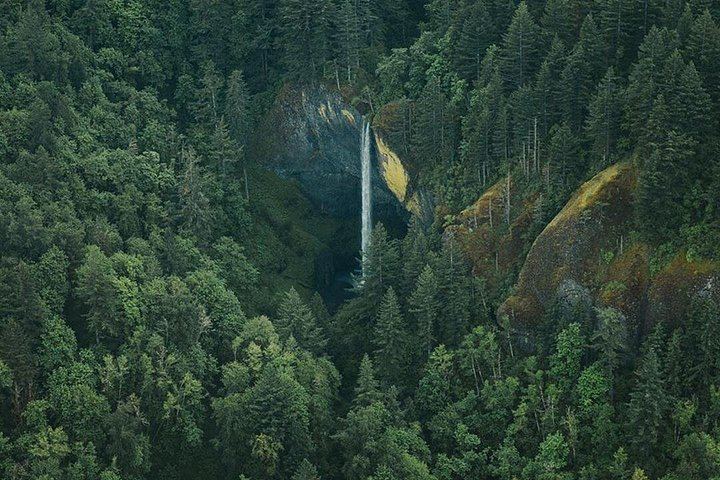 Multnomah Falls and Columbia Gorge Scenic Flight from Troutdale by Envi Adventures (1/12)
