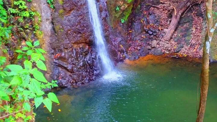 Finca Los Solis Hike near Jaco: 10 Waterfalls and 8 Natural Pools, 2.5 to 3 Hours (1/12)