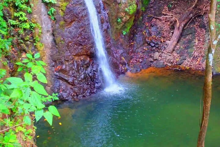 Finca Los Solis Hike near Jaco: 10 Waterfalls and 8 Natural Pools, 2.5 to 3 Hours (1/12)