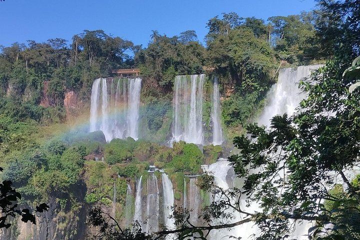 Iguazu Falls Argentine Side with Border Formalities Handled and Ecological Train (8/12)