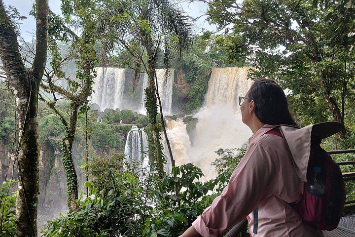 Iguazu Falls Argentine Side with Border Formalities Handled and Ecological Train (12/12)