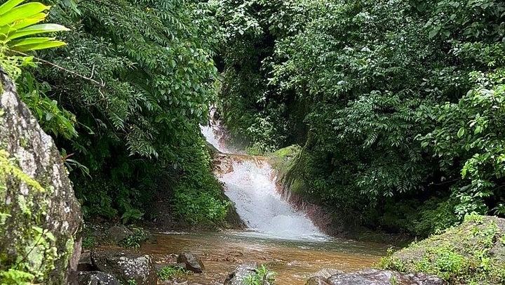 Private Llanos de Cortez, Miravalles Hanging Bridges, Hot Springs and Mud Baths Tour (4/12)