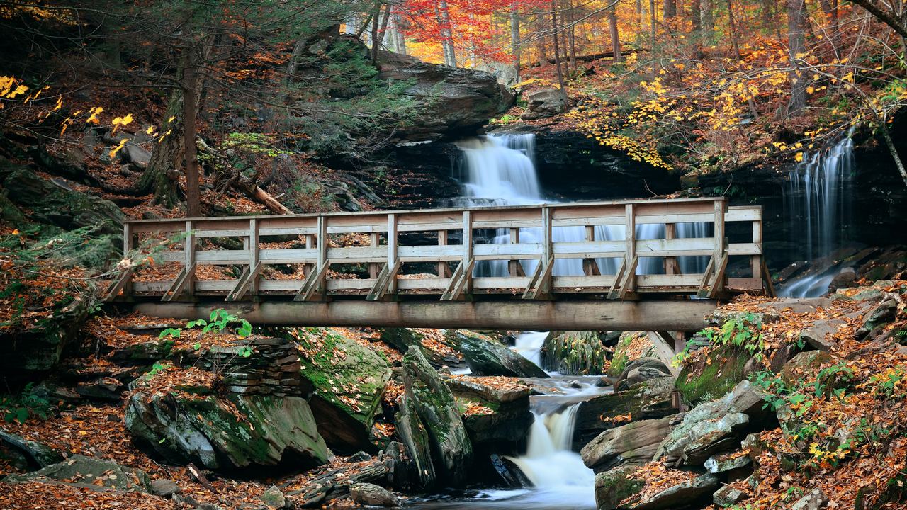 Small waterfalls beside a wooden footbridge in a forest with autumn leaves
