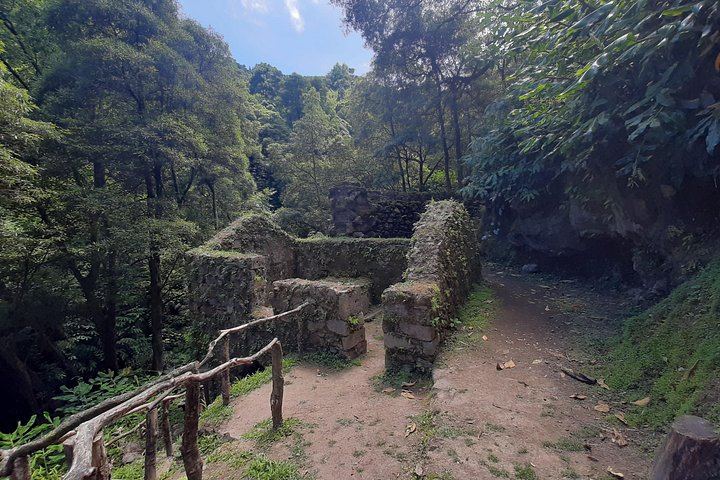 Moinho do Félix Waterfall Hike with Gorreana Tea Plantation Visit, Sao Miguel (11/12)