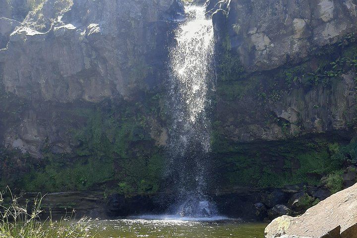 Moinho do Félix Waterfall Hike with Gorreana Tea Plantation Visit, Sao Miguel (6/12)