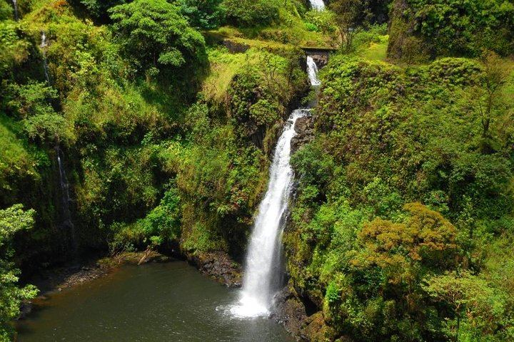 Road to Hana Tour: Wai'anapanapa Black Sand Beach, Ho'okipa Turtles and Banana Bread (5/12)