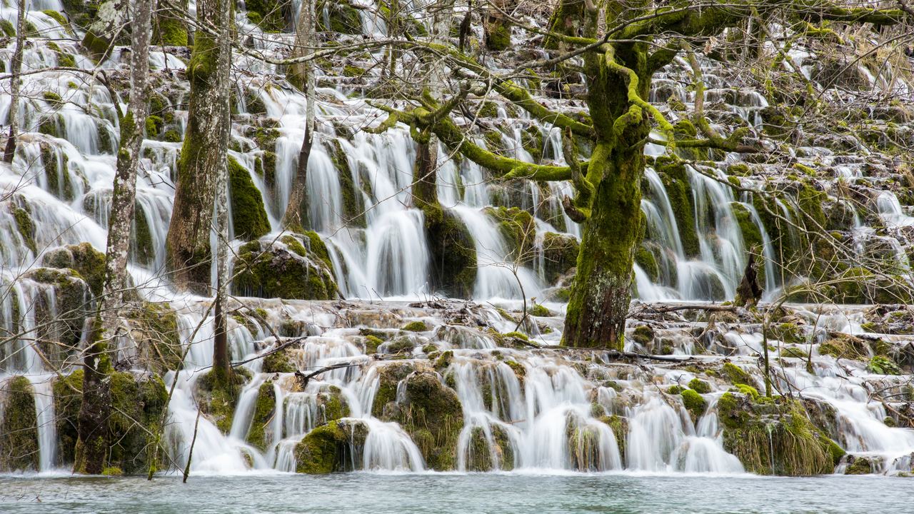 Several narrow waterfalls falling over a mossy cliff into a green pool