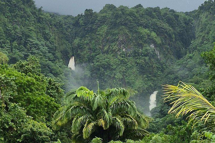 Two-Hour Scenic Drive to Trafalgar Falls and Sulphur Springs with Autop Tours (11/12)