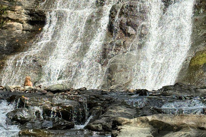 Mulguri Waterfalls Small-Group Trip near Manuel Antonio with Family Home Lunch (7/11)