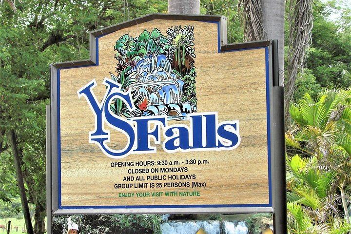 YS Falls, Buffet Lunch and Black River Safari from Montego Bay or Grand Palladium (6/12)