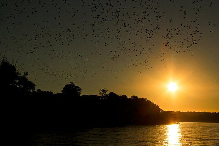 Private Iguazu Falls Argentine Side Day Tour with Optional 4x4 and Boat Safari (9/9)