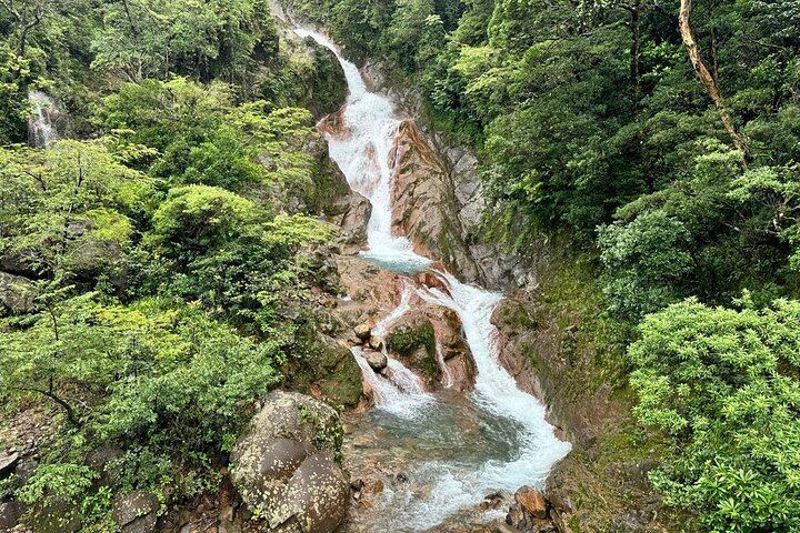 Sloth Watching, Miravalles Hot Springs, Mud Bath and Waterfall Viewing with Lunch (12/12)