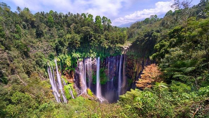 Tumpak Sewu Waterfall and Goa Tetes Private Day Tour from Surabaya or Malang (4/8)